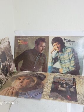 Lot of 10 Vintage Country Vinyl Records – Tom T. Hall, Gene Watson, Statler...